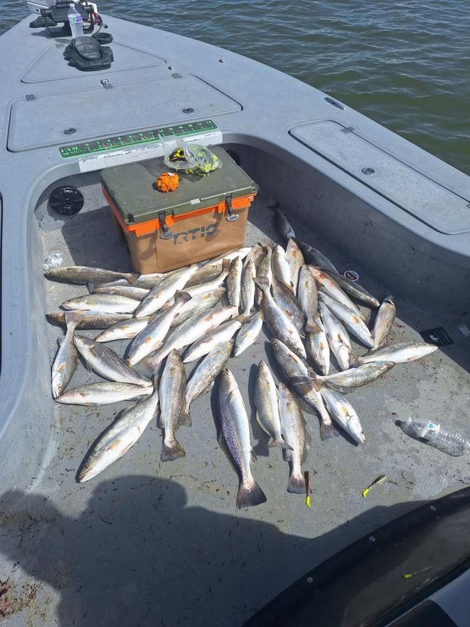 Speckled trout on the deck from Calcasieu Lake
