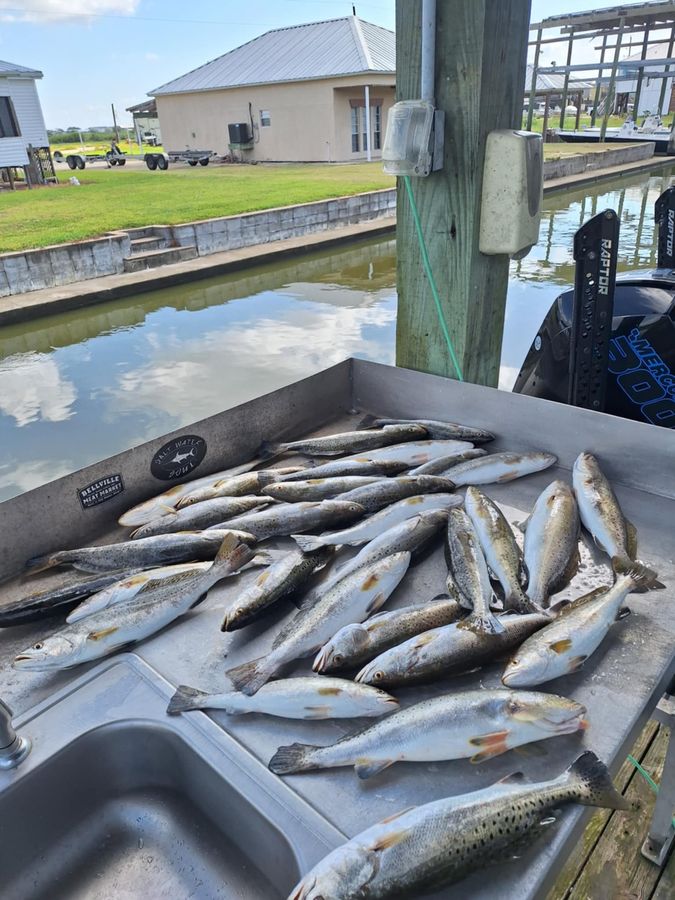 Inshore catch from Calcasieu Lake