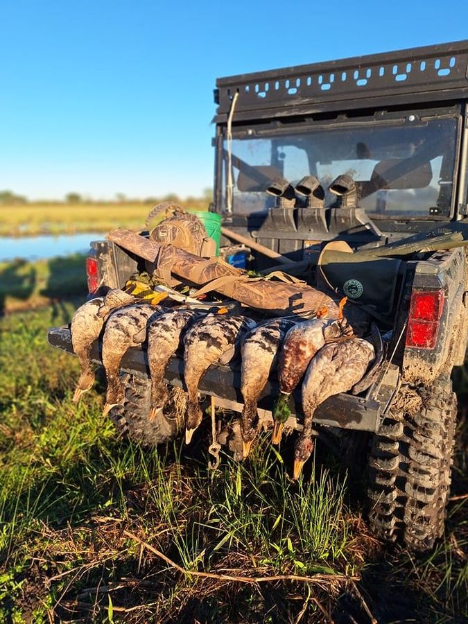 Waterfowl hunt in the South Louisiana rice fields