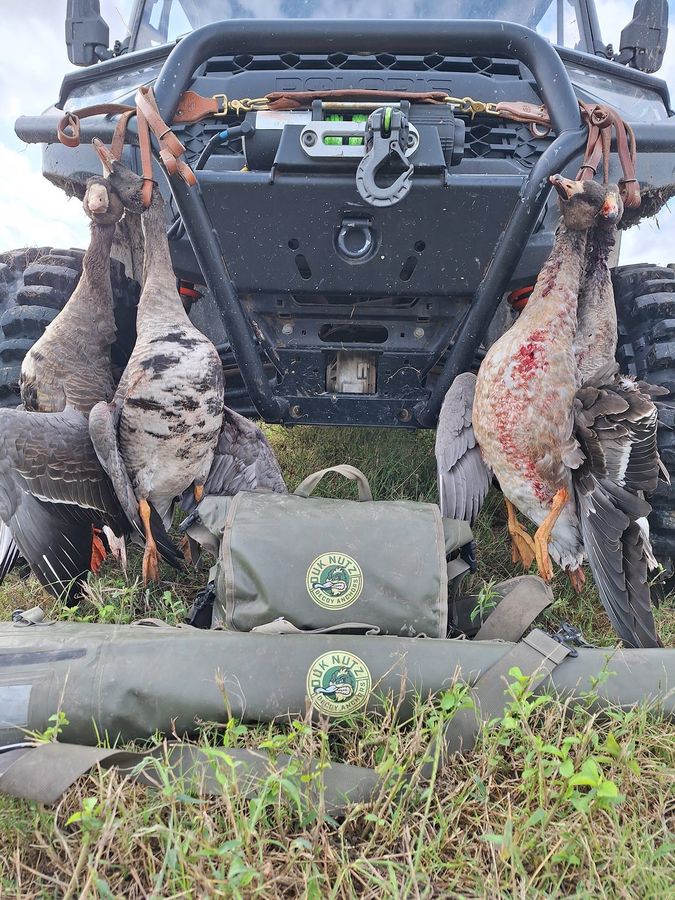 Ducks lined up on the rig