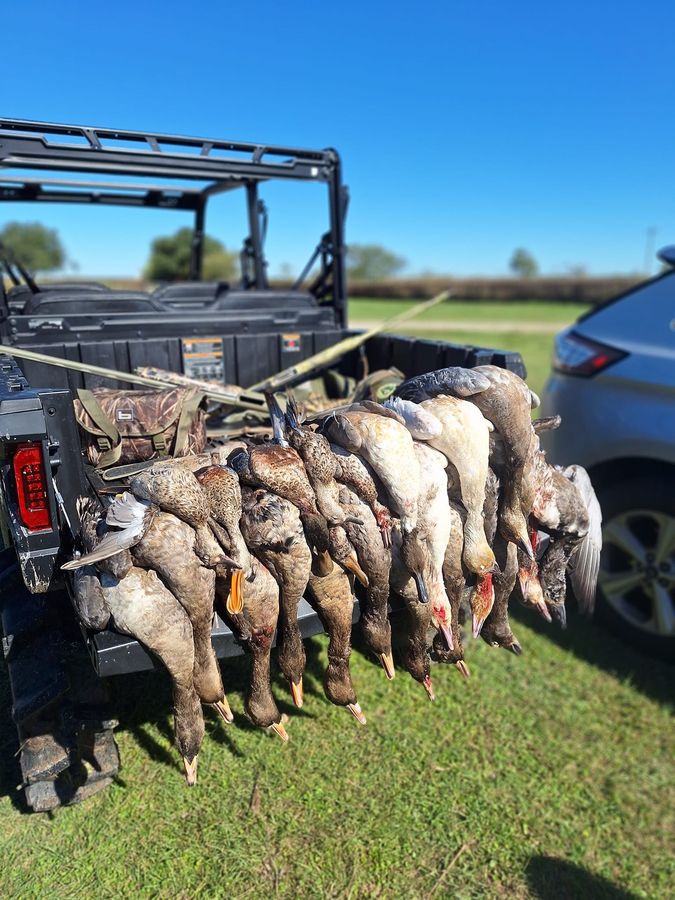 Waterfowl hunt in the South Louisiana rice fields